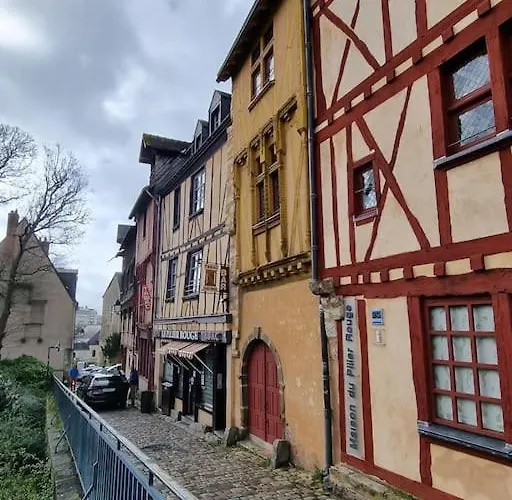 Duplex Cité Plantagenêt - 2 Voyageurs - Wifi Appartement Le Mans